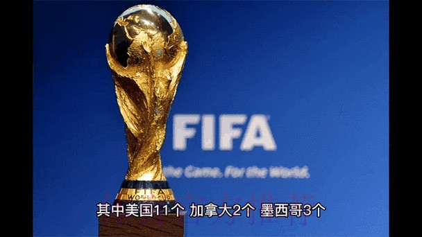 2026世界杯外围赛实时动态解析 2026世界杯外围赛实时动态解析
